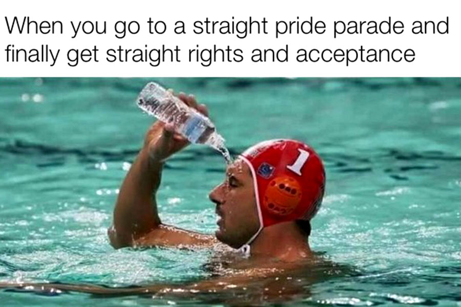 straight pride meme
